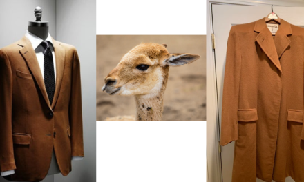 Keistimewaan Kain Vicuña Yang Sering Di Juluki “Emas Tekstil”