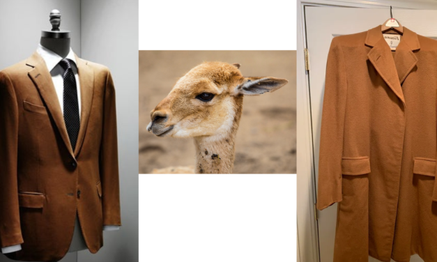Keistimewaan Kain Vicuña Yang Sering Di Juluki “Emas Tekstil”