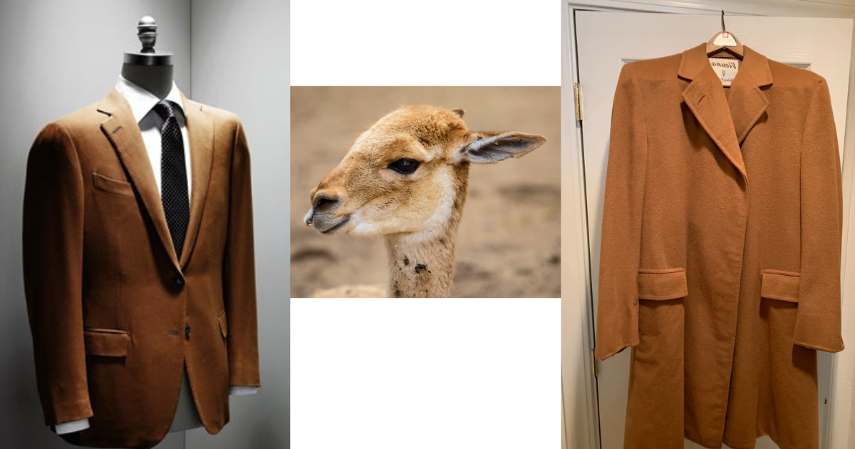 Keistimewaan Kain Vicuña Yang Sering Di Juluki “Emas Tekstil”