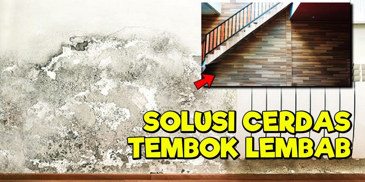 Atasi Dinding Lembap Sangat Mudah Dengan 5 Cara Sederhana!
