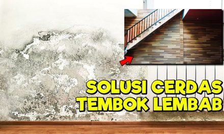 Atasi Dinding Lembap Sangat Mudah Dengan 5 Cara Sederhana!