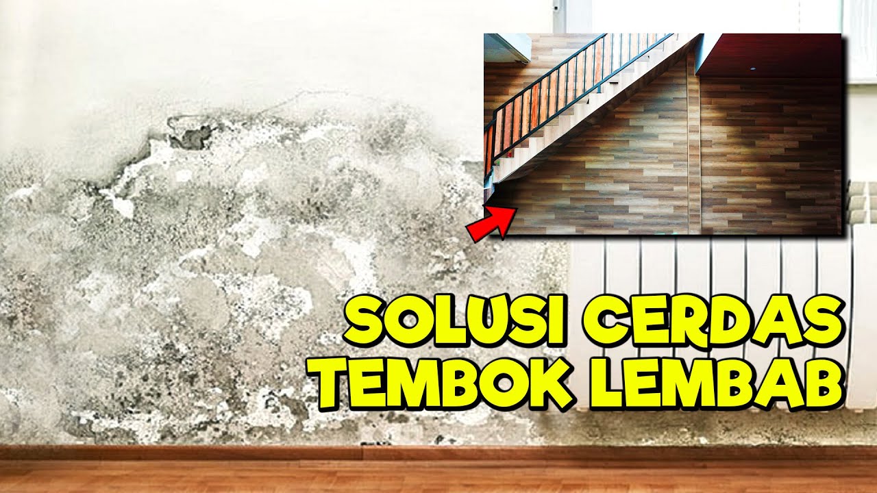 Atasi Dinding Lembap