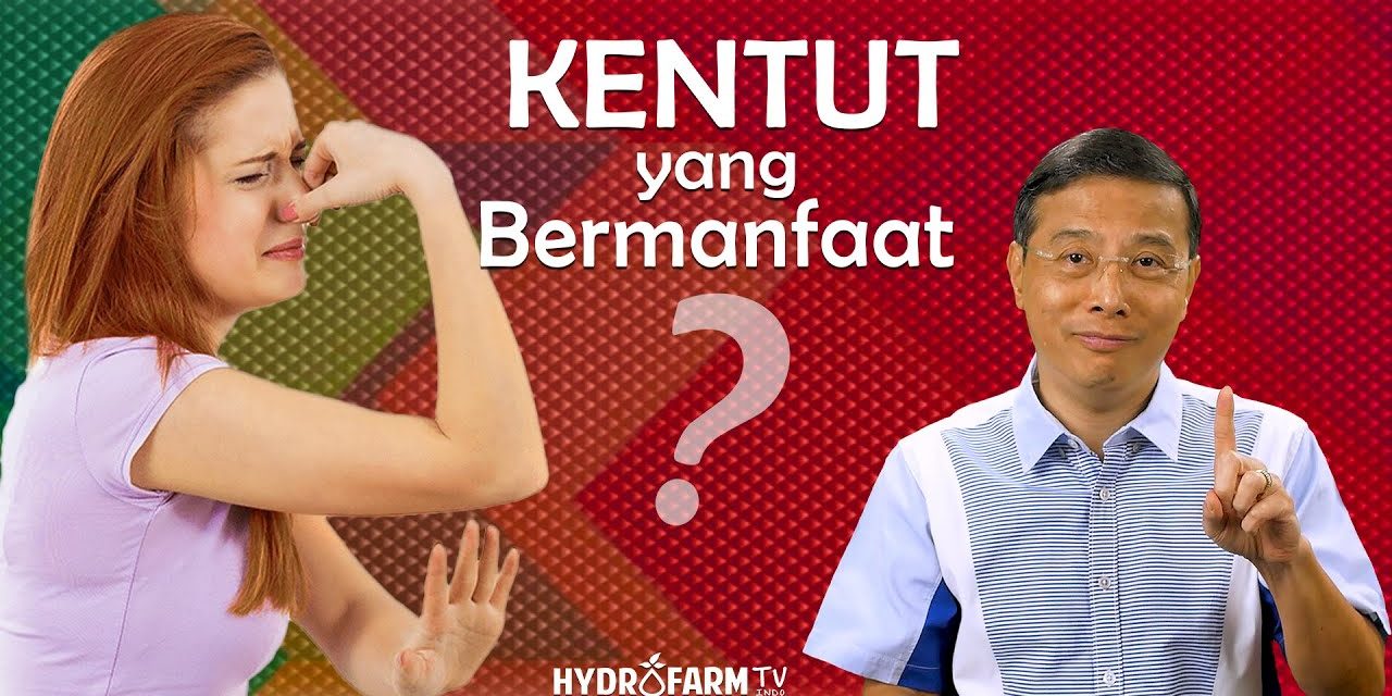 Sering Kentut Menyehatkan, Pertanda Tubuh Bekerja Dengan Baik
