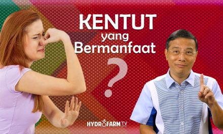 Sering Kentut Menyehatkan, Pertanda Tubuh Bekerja Dengan Baik