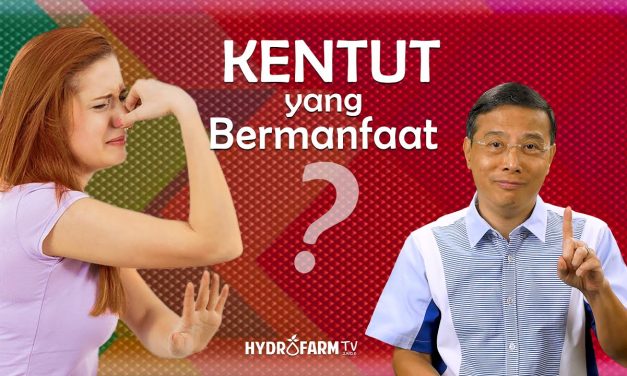 Sering Kentut Menyehatkan, Pertanda Tubuh Bekerja Dengan Baik
