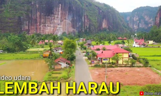 Keindahan Lembah Harau Dengan Hamparan Sawah Hijau